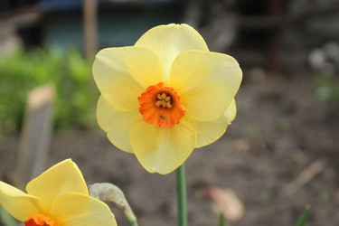 Similar image 21469921