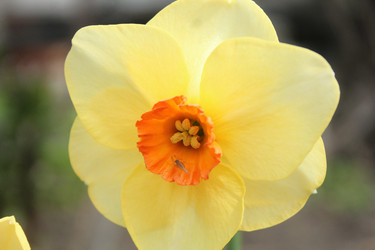 Similar image 21469922