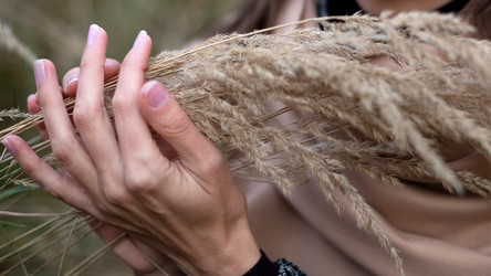 Similar image 21465707