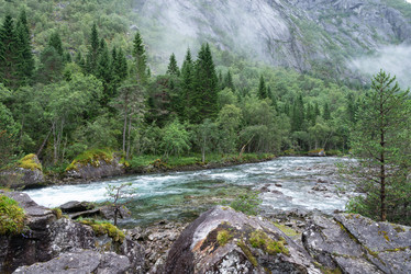 Similar image 21462534