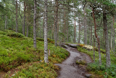 Similar image 21462541