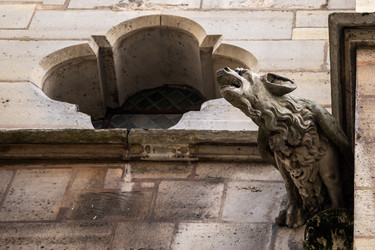 Similar image 21462549