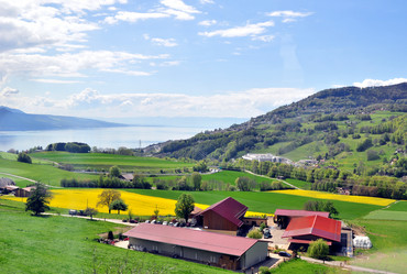 Similar image 21462642