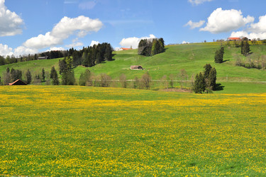 Similar image 21462645