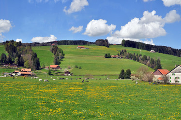 Similar image 21462648