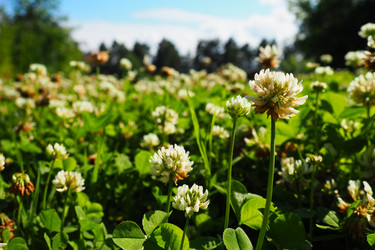 Similar image 21468945