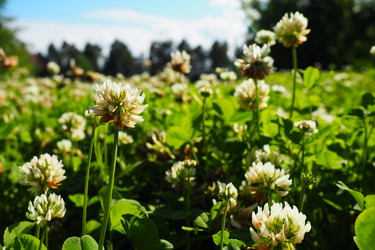 Similar image 21468946