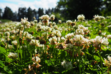 Similar image 21468947