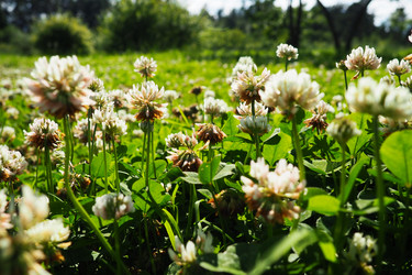 Similar image 21468950