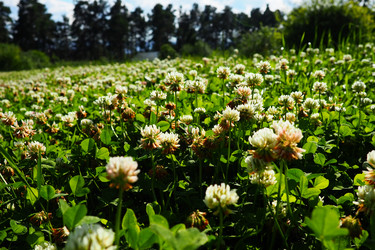 Similar image 21468951