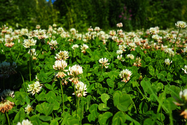 Similar image 21468953