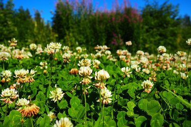 Similar image 21468954