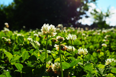 Similar image 21468955