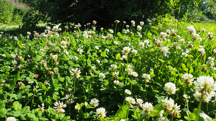 Similar image 21468956