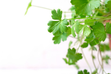 Similar image 21470820