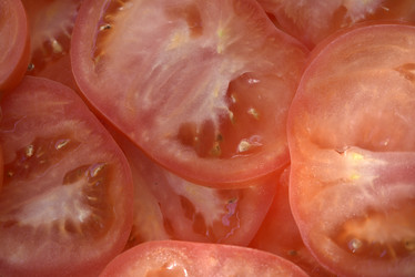 Similar image 21462405