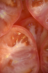 Similar image 21462406