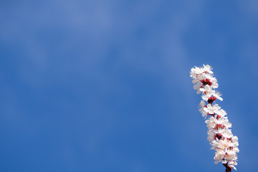 Similar image 21462205