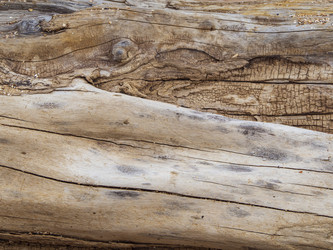 Similar image 21462206