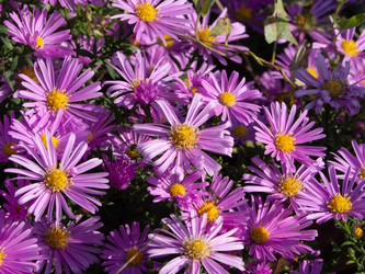 Similar image 21462209