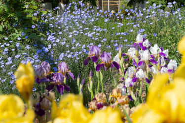 Similar image 21462214