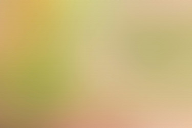 Similar image 21462216