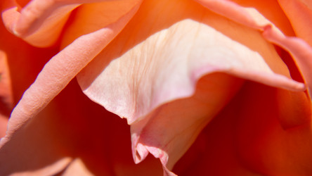 Similar image 21462217