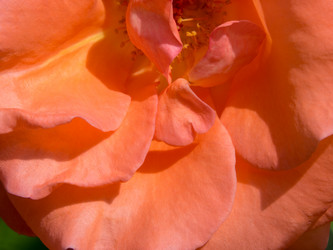 Similar image 21462218