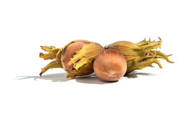 Similar image 21462221