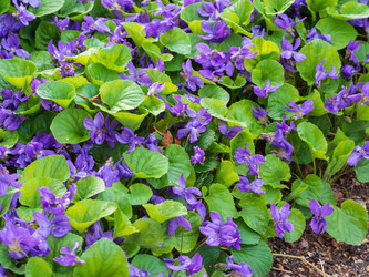 Similar image 21462222