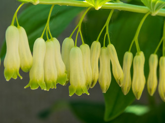 Similar image 21462224