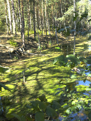 Similar image 21463124