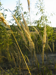 Similar image 21463127