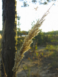 Similar image 21463128