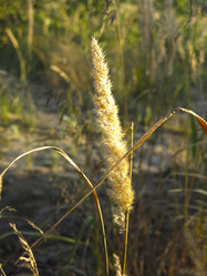 Similar image 21463129