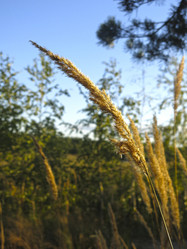 Similar image 21463130