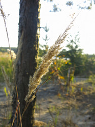 Similar image 21463131