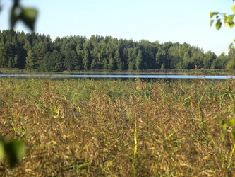 Similar image 21463132