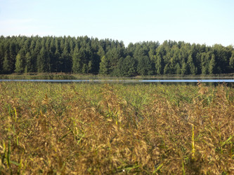 Similar image 21463137