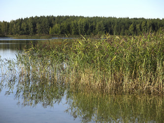 Similar image 21463139