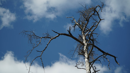 Similar image 21467282