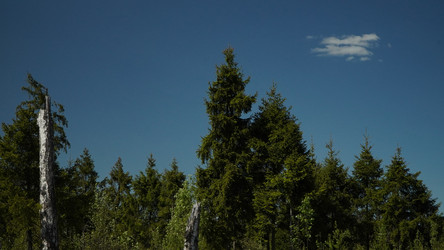 Similar image 21467283