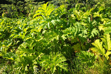 Similar image 21467285