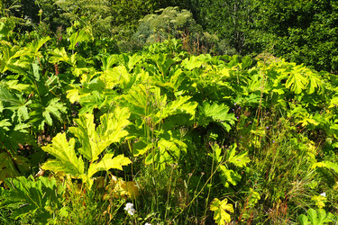 Similar image 21467286