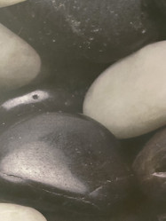 Similar image 21463164