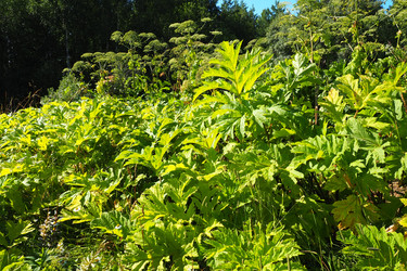 Similar image 21468659