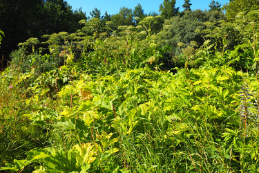 Similar image 21468957