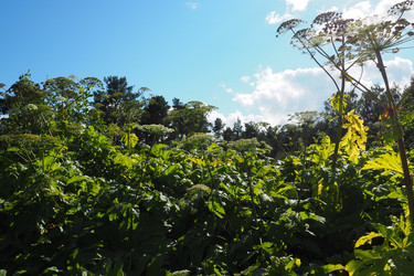 Similar image 21468958