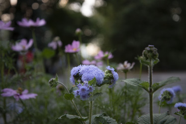 Similar image 21462441