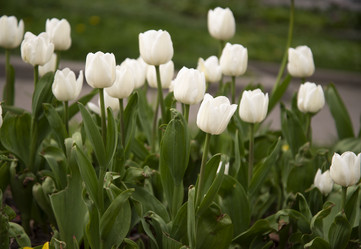 Similar image 21462442